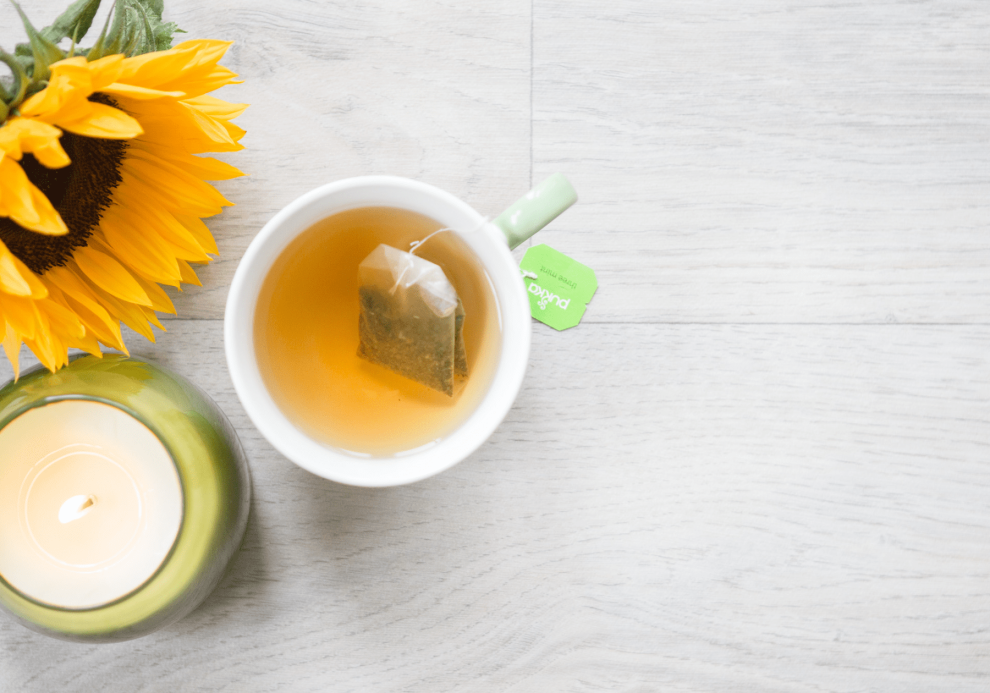 Virtual Assistant niches Virtual Assistant niches